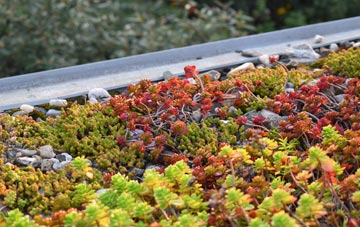 the cost of Cille Pheadair green roof installation