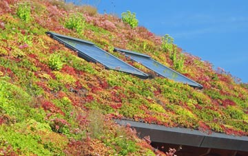 Cille Pheadair living roof systems